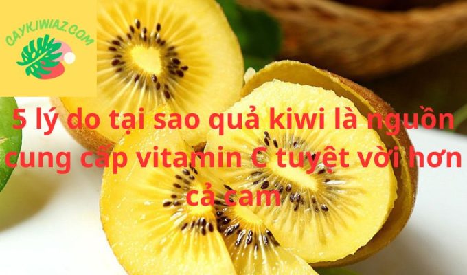 5 lý do tại sao quả kiwi là nguồn cung cấp vitamin C tuyệt vời hơn cả cam