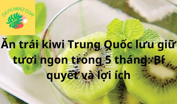 Ăn trái kiwi Trung Quốc lưu giữ tươi ngon trong 5 tháng: Bí quyết và lợi ích