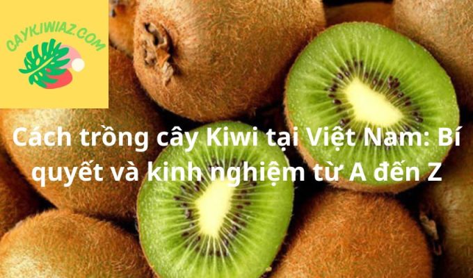 Cách trồng cây Kiwi tại Việt Nam: Bí quyết và kinh nghiệm từ A đến Z