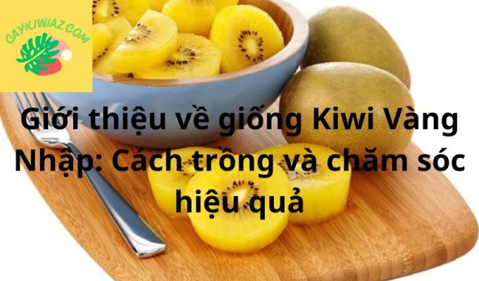 Giới thiệu về giống Kiwi Vàng Nhập: Cách trồng và chăm sóc hiệu quả