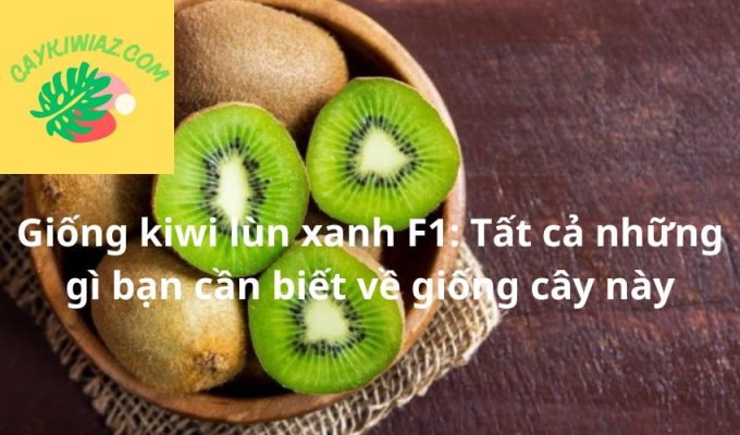 Giống kiwi lùn xanh F1: Tất cả những gì bạn cần biết về giống cây này