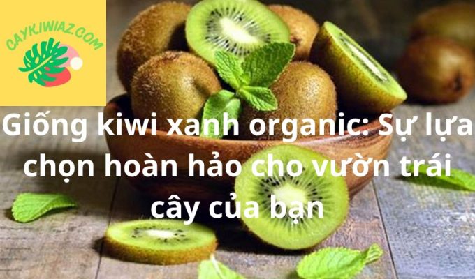 Giống kiwi xanh organic: Sự lựa chọn hoàn hảo cho vườn trái cây của bạn