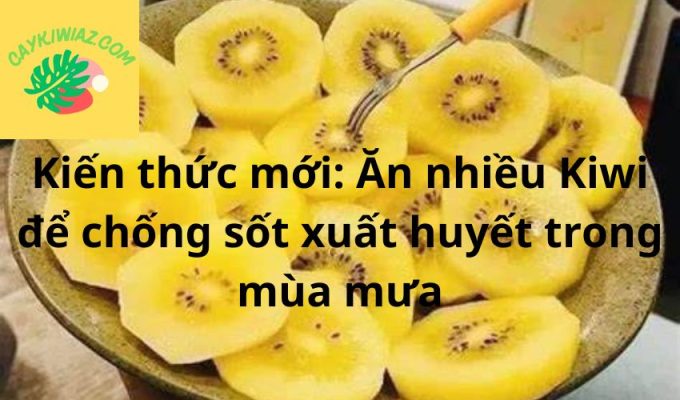 Kiến thức mới: Ăn nhiều Kiwi để chống sốt xuất huyết trong mùa mưa