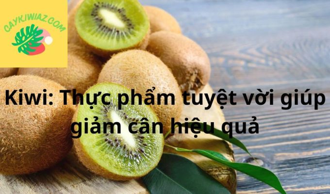 Kiwi: Thực phẩm tuyệt vời giúp giảm cân hiệu quả