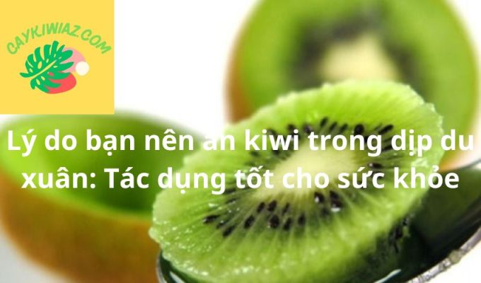 Lý do bạn nên ăn kiwi trong dịp du xuân: Tác dụng tốt cho sức khỏe