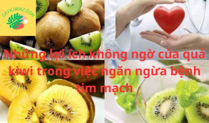 Những lợi ích không ngờ của quả kiwi trong việc ngăn ngừa bệnh tim mạch