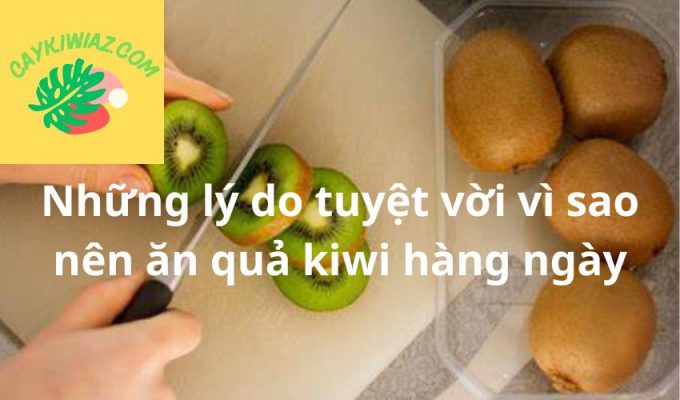 Những lý do tuyệt vời vì sao nên ăn quả kiwi hàng ngày