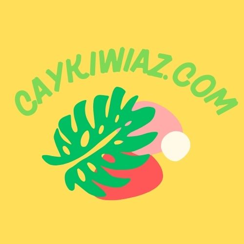 caykiwiaz.com